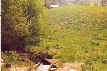 Tvrziště Dolní Hořice (© Marek Skýpala 07/2006)