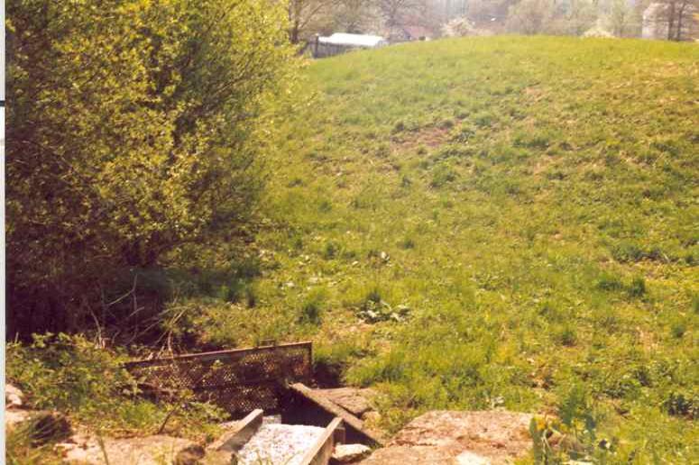 Dolní Hořice
