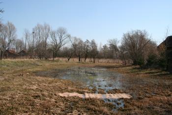 Příkop tvrziště ( © Petr Nožička 03/2012)