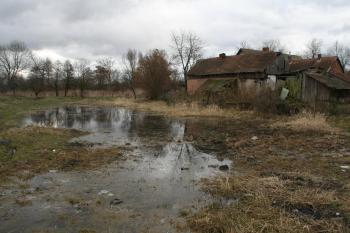 Příkop tvrziště ( © Martin  Kabeláč 03/2009)