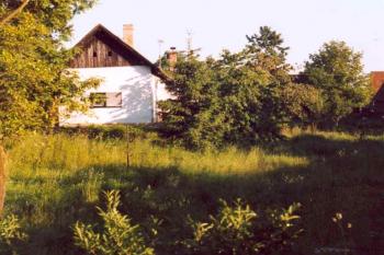 Tvrziště ve Starých Smrkovcích (© Marek Skýpala 07/2006)