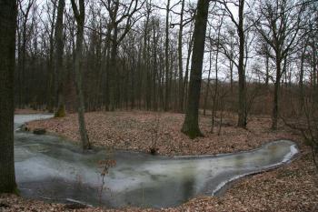  ( © Petr Nožička 02/2011)