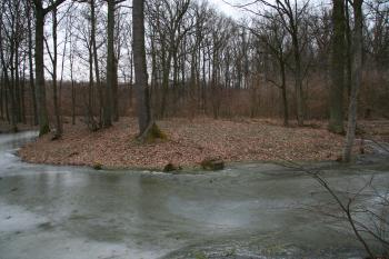 Pohled na tvrziště ( © Petr Nožička 02/2011)