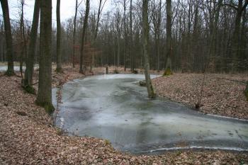 Pohled na příkop ( © Petr Nožička 02/2011)