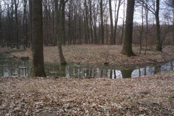  (© Jan Švejkar, 03/2011)