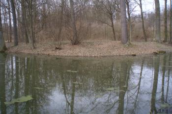  (© Jan Švejkar, 03/2011)