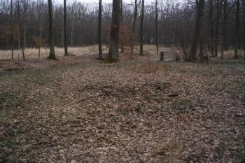  (© Jan Švejkar, 03/2011)