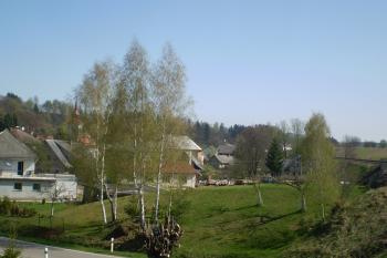 Pohled na tvrziště z železničního náspu (© David Koral, 03/2010)