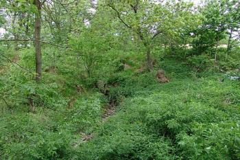 Pohled od jihu na zarostlý příkop oddělující jádro od planiny ( © Roman Řezáč 05/2006)