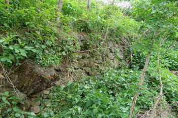 Zídka na vnější straně příkopu, nejasného původu ( © Roman Řezáč 05/2006)