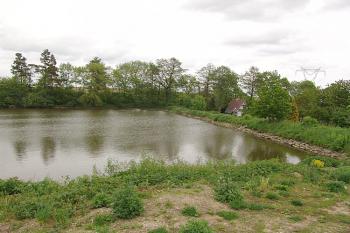 Pohled na hráz rybníka, v nejvzdálenější části leží tvrziště ( © Roman Řezáč 05/2006)