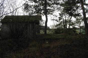 jádro tvrze (© D Dohňanský, 01/2016)