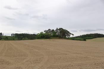 Celkový pohled na lokalitu od severozápadu ( © Roman Řezáč 05/2006)