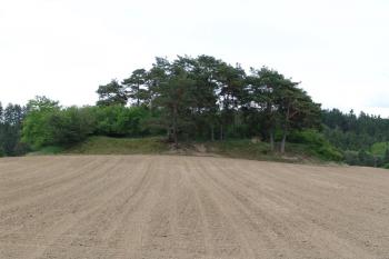 Celkový pohled na možné místo tvrze od severozápadu ( © Roman Řezáč 05/2006)