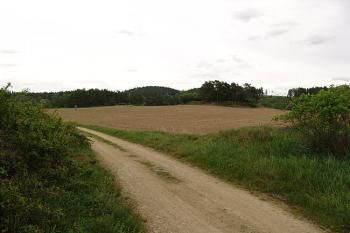 Pohled z cesty k Opatskému rybníku na možné místo tvrze v poli ( © Roman Řezáč 05/2006)