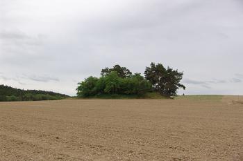 Pohled od severu ( © Roman Řezáč 05/2006)