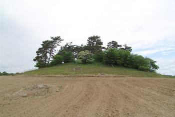 Pohled od jihovýchodu, v popředí neobdělávaná část pole kvůli velkým balvanům ( © Roman Řezáč 05/2006)
