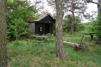 Chatka stojící na ploše jádra ( © Roman Řezáč 05/2006)