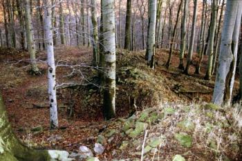 Areál hradu (© 2002 Jiří Čížek)