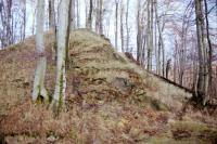 Nový Žeberk