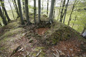 Zbytky paláce na nejvyšším místě hradního areálu ( © Filip Matoušek 05/2008)