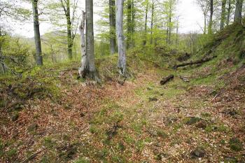 Mohutný třetí příkop na západní straně ( © Filip Matoušek 05/2008)