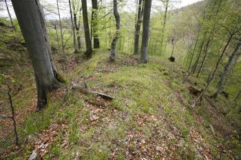 Baštovitý výstupek valu před 3. příkopem na západní straně pod palácem ( © Filip Matoušek 05/2008)