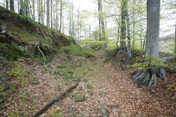 Příkop na severovýchodě ( © Filip Matoušek 05/2008)