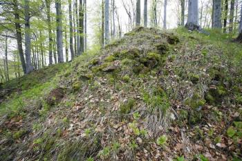 Břit hradby vybíhající na severu proti přístupové cestě ( © Filip Matoušek 05/2008)