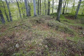 Pozůstatky zřejmě hospodářské budovy při severní straně nádvoří ( © Filip Matoušek 05/2008)