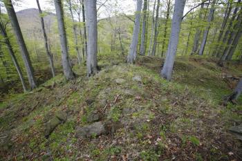 Relikt obvodové hradby na severozápadní straně ( © Filip Matoušek 05/2008)