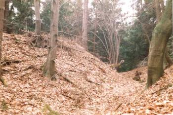 Tvrziště Ostrov (© Marek Skýpala 07/2006)