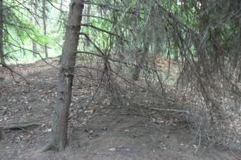 Val opevňující předhradí (© Prudký Martin, 05/2009)
