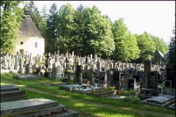 Brádlo - celkový pohled na lesní hřbitov. (© Štěpán Kučera 07/2006)