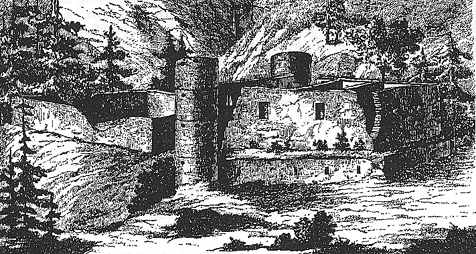 Borschengrün