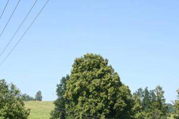 Hospodářská budova ( © Luděk Pitter 07/2006)
