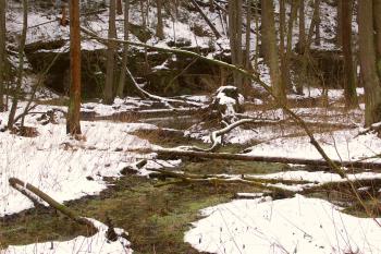 Údolí Pekla v zimě (© Jiří Kaše, 01/2009)