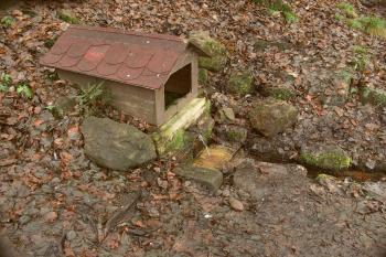 Studánka (© Jiří Kaše, 01/2009)