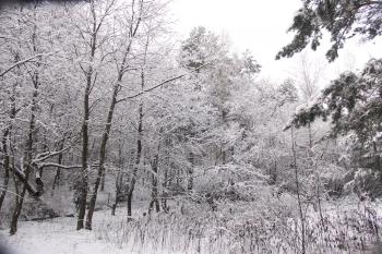 Údolí Pekla v zimě (© Jiří Kaše, 01/2009)