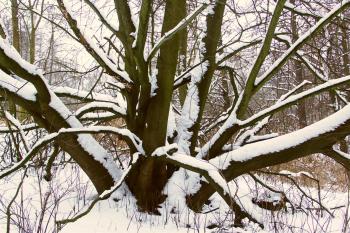Údolí Pekla v zimě (© Jiří Kaše, 01/2009)