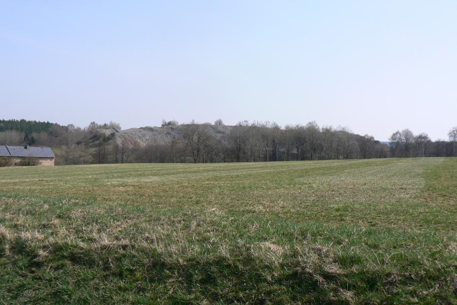 Březín