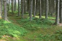 Volarské šance