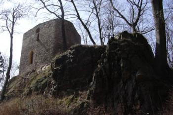 Březina od koupaliště (Volfík 04/2004)