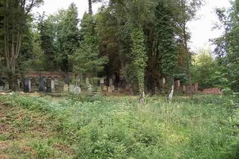 pohled na hřbitov od příchozí cesty (© Stanislav Drda 07/2006)