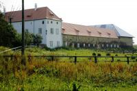 Draheničky