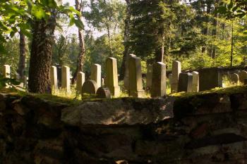 Židovský hřbitov. (© Štěpán Kučera 05/2006)