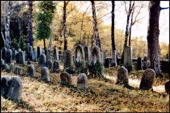 Židovský hřbitov. (© Štěpán Kučera 10/2005)