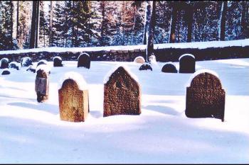 Židovský hřbitov. (© Štěpán Kučera 02/2006)