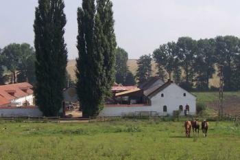 Otaslavice - Bažantnice (© Ivo Rozehnal 08/2006)