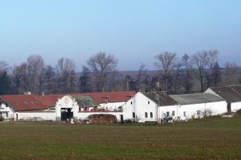 celkový pohled na dvůr Bažantnice ( © Jan P. Štěpánek 11/2009)